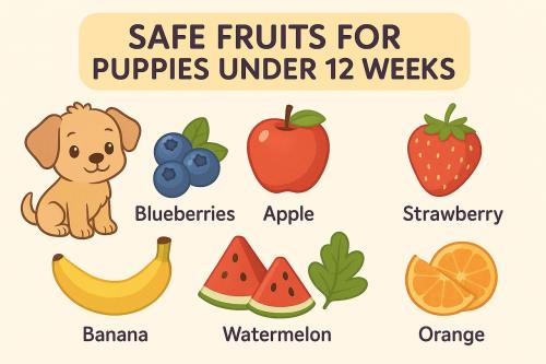 Safe Fruits for Puppies Under 12 Weeks